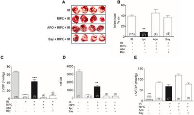 Inhibition of NOX2 or NLRP3 inflammasome prevents cardiac remote ischemic preconditioning